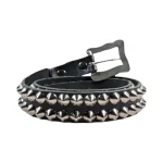 Holyshit Belt Erd